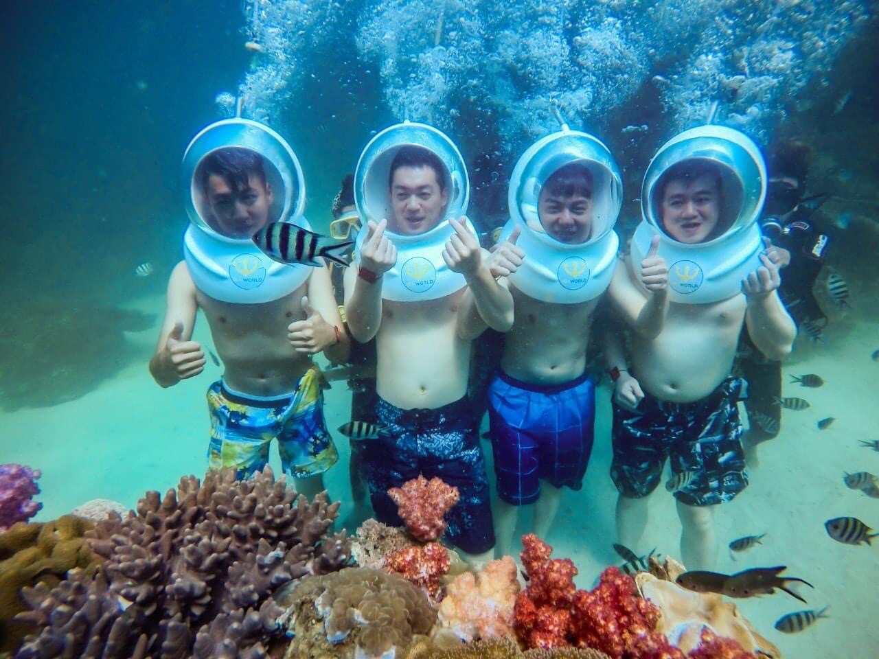 4003A85B-5055-4C58-B503-92C0CEB2DE8A